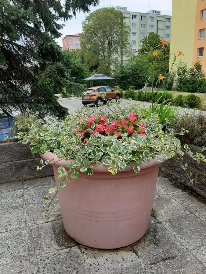 Kvetinovy Apartman A3B V Chomutove Eksteriør bilde